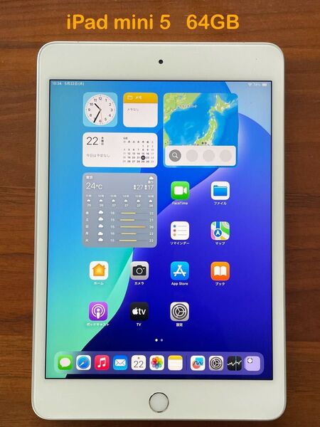 iPad mini 5 64GB Wi-Fi セルラー