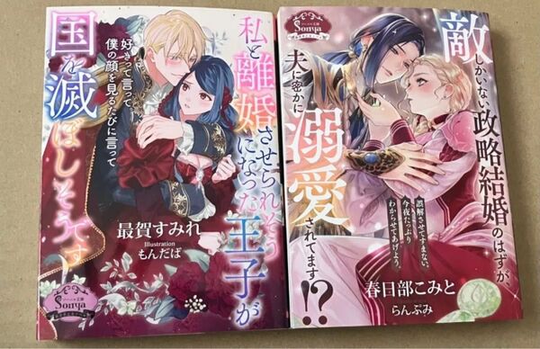 敵しかいない政略結婚のはずが、夫に密かに溺愛されてます!?/私と離婚させられそうになった王子が国を滅ぼしそうです/特典SSなし