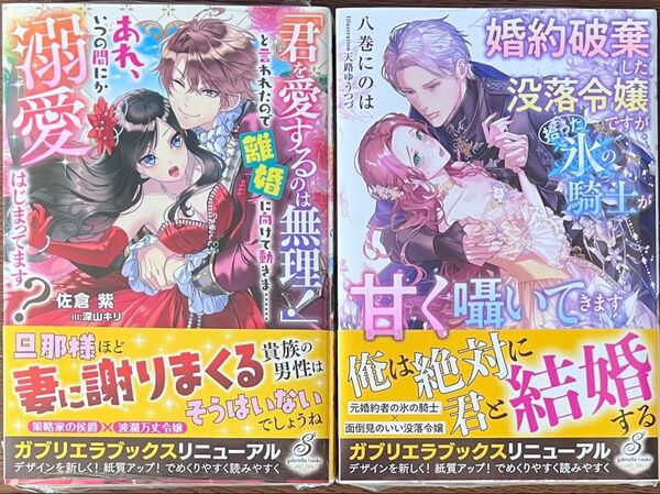 婚約破棄した没落令嬢ですが拾った氷の騎士が甘く囁いてきます/「君を愛するのは無理!」と言われたので離婚に向けて/特典SS等なし