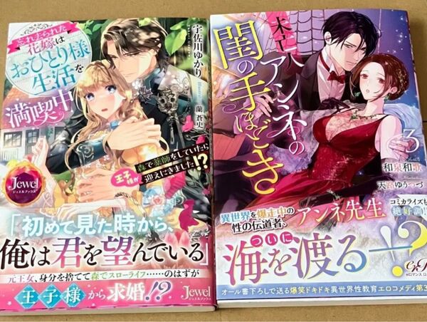 忘れ去られた花嫁はおひとり様生活を満喫中 未亡人アンネの閨の手ほどき //特典SS応募券等なし