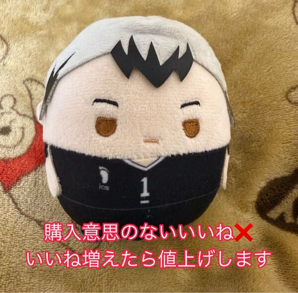 ハイキュー ふわコロりん 北信介
