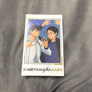 ハイキュー キャラポトレ 箔押し 影山&赤葦