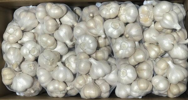 青森県産 にんにく M 5kg 大特価