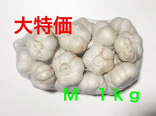 青森県産 にんにく M 1kg 大特価