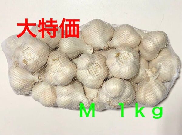 青森県産 にんにく M 1kg 大特価