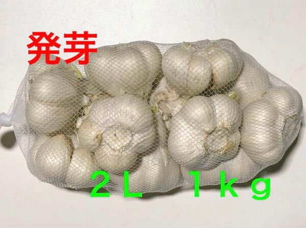 青森県産 にんにく 2L 1kg 発芽にんにく 大特価