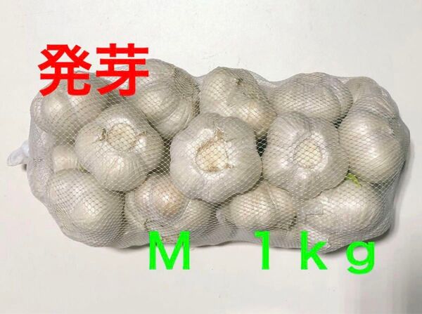 青森県産にんにく M 1kg 発芽にんにく 栄養満点