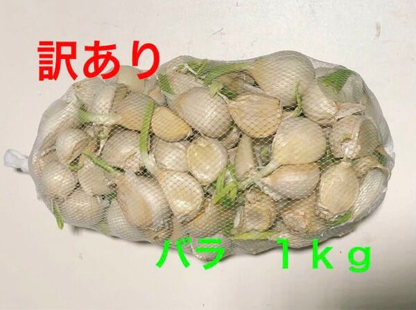 青森県産 にんにく バラ 1kg 訳あり 大特価
