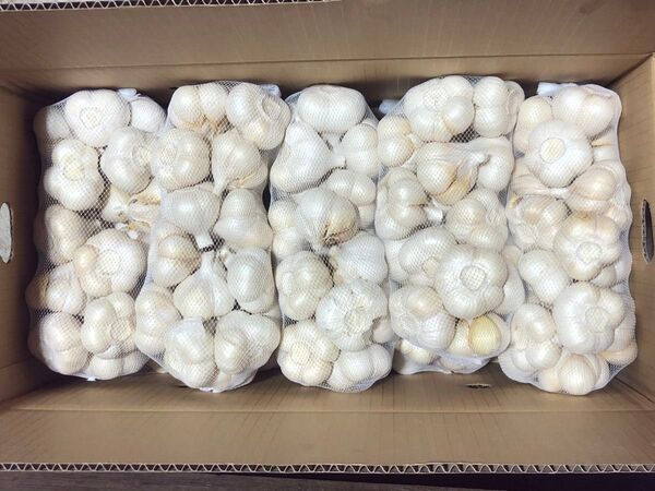 青森県産 にんにく L 10kg 大特価