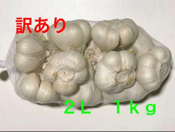 青森県産にんにく 2L 1kg 訳あり 大特価