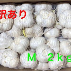 青森県産 にんにく M 2kg 訳あり 大特価