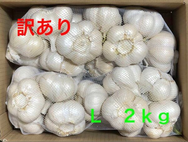 青森県産にんにく L 2kg 訳あり 大特価