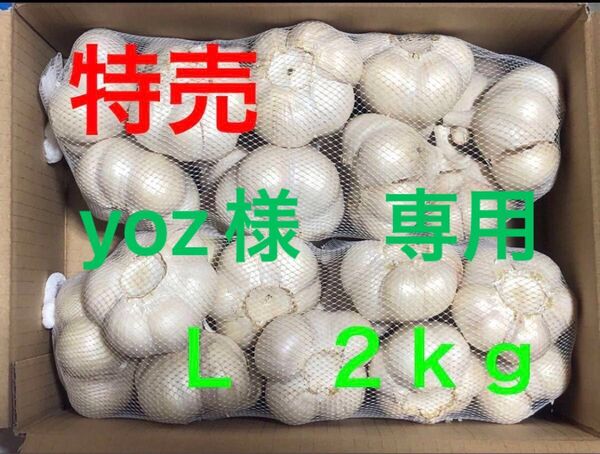 青森県産 にんにく L 2kg 大特価 yoz