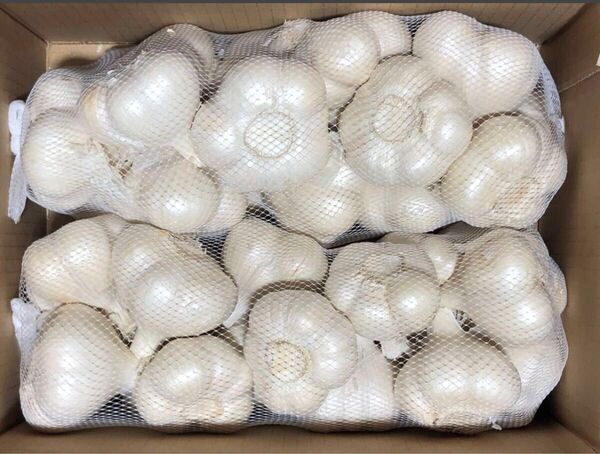 青森県産 にんにく L 2kg 大特価