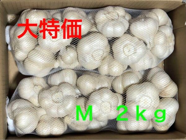 青森県産 にんにく M 2kg 大特価