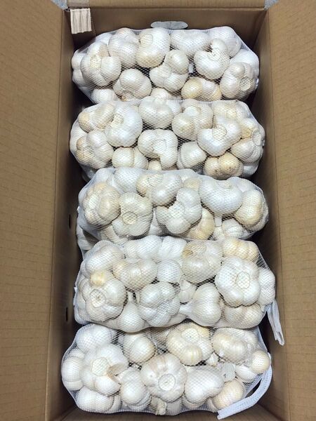青森県産 にんにく L 4kg 大特価