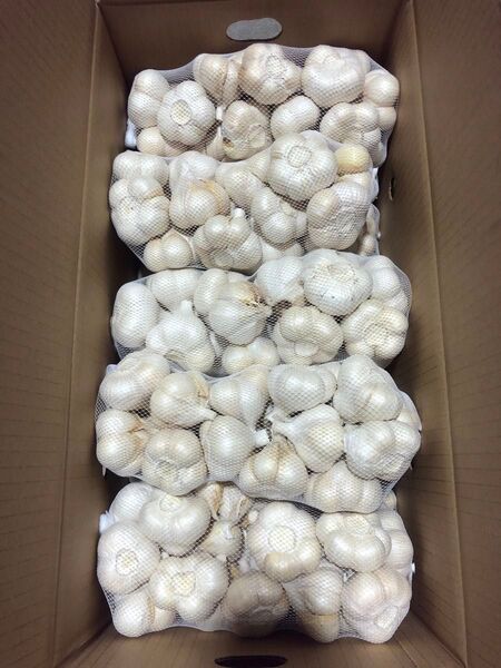 青森県産 にんにく L 10kg 大特価