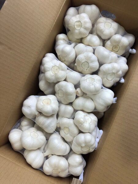 青森県産 にんにく 2L 10kg 大特価