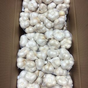 青森県産 にんにく L 5kg 大特価 特別セール