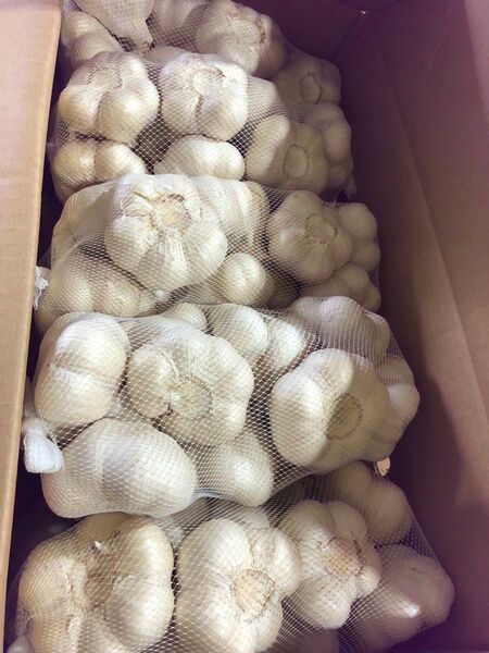 青森県産 にんにく L 10kg 大特価