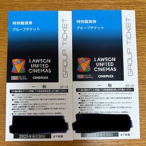 ユナイテッドシネマ チケット 特別鑑賞券 2枚 2025.6.30