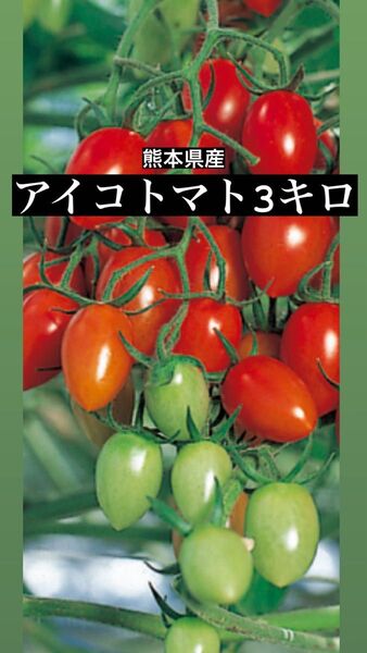 アイコトマト
