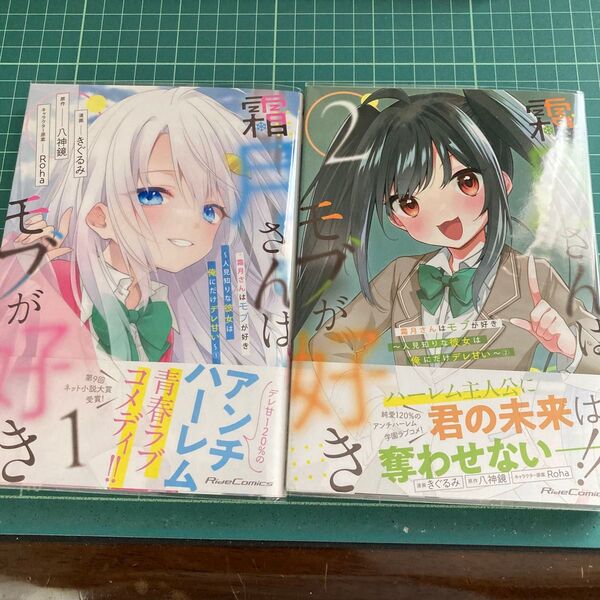 霜月さんはモブが好き 人見知りな彼女は俺にだけデレ甘い 1 (Ride Comics) きぐるみ/漫画 八神鏡/原作 Roha