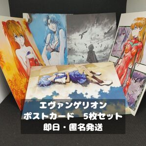 エヴァンゲリオン ポストカード 5枚 渚カヲル アスカ レイ 葛城ミサト 非売品