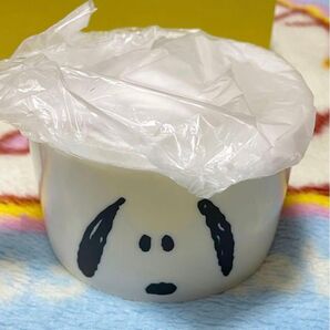 スヌーピーSNOOPY高気密レンジ容器2点セット