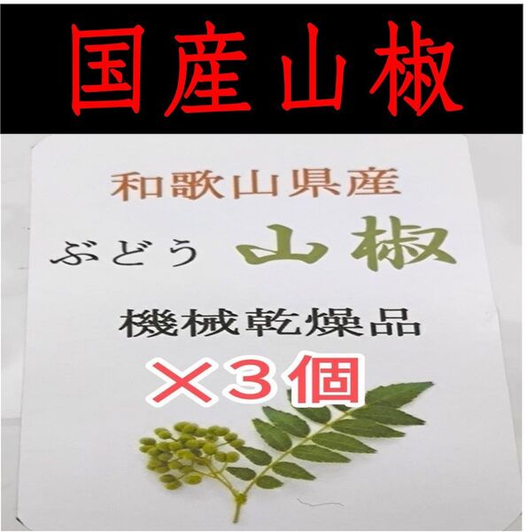 【高品質】山椒の実 和歌山 有田 乾燥 ぶどう山椒 20g×3袋