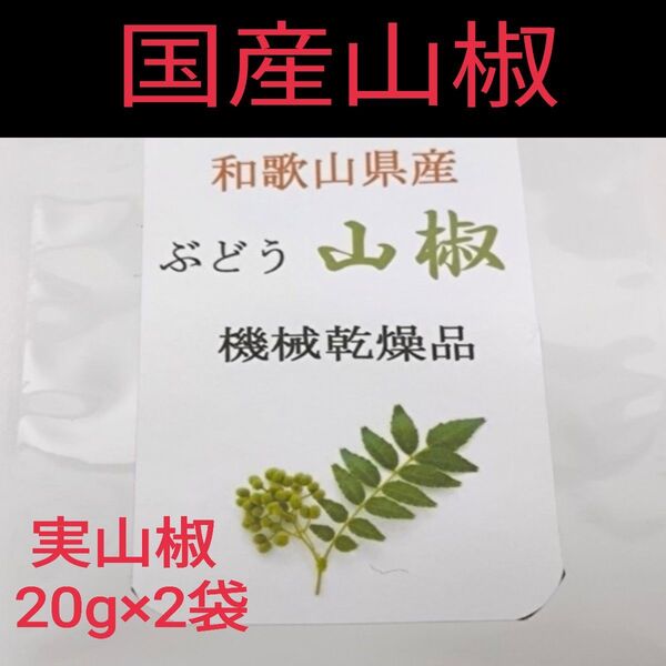 【高品質】山椒の実 和歌山 有田 乾燥 ぶどう山椒 20g×2袋