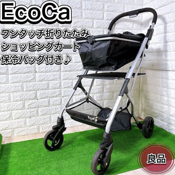 Ecoca エコカ ショッピングカート 保冷バック ワンタッチ折りたたみ 買い物