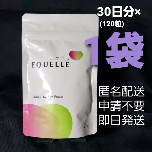 ・エクエル パウチ 120粒30日分×1袋
