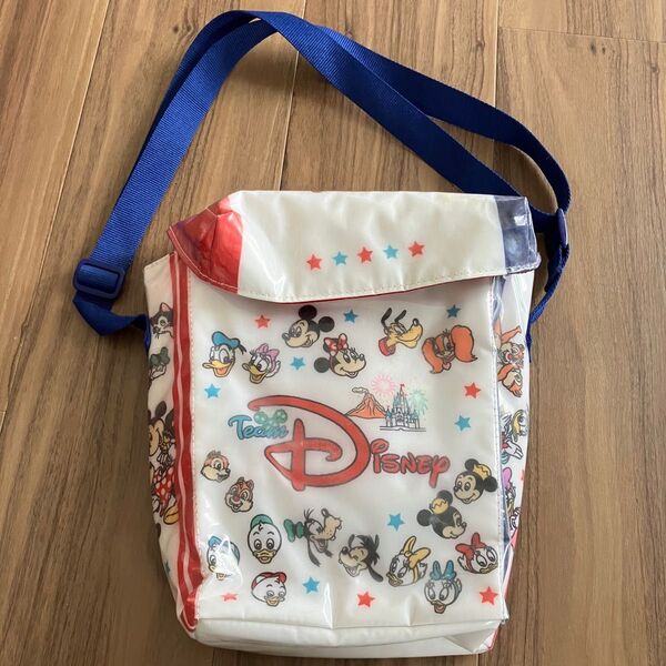 公式 ディズニー Team Disney ポップコーンバケット ソフト ディズニーランド