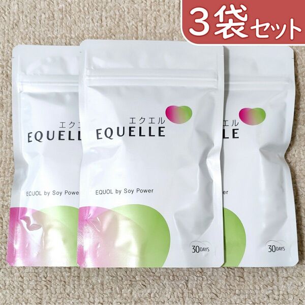 大塚製薬 エクエル 120粒 3袋 パウチタイプ