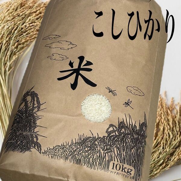 コシヒカリ鳥取県産10キロ6年度産精米白米、精米済み