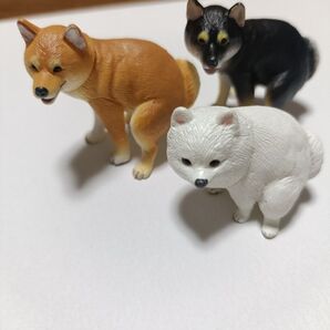 ふんばり~ぬ3体セット柴犬 黒柴犬 ポメラニアン