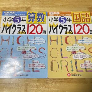 算数/国語ハイクラスドリル120回 小学5年 小学教育研究会/編著 おまけつき