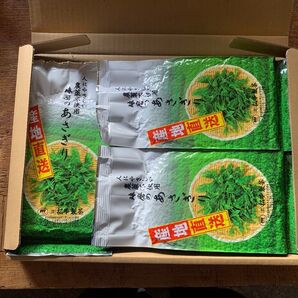 奉仕品200g3袋 茶農家直売 無農薬・無化学肥料栽培 シングルオリジン 熊本グリーン農業 カテキンパワー 免疫力アップ