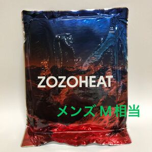 【ZOZOHEAT ゾゾヒート】メンズ 長袖Vネック Mサイズ相当 アイボリー メリノウール混 吸湿発熱インナー
