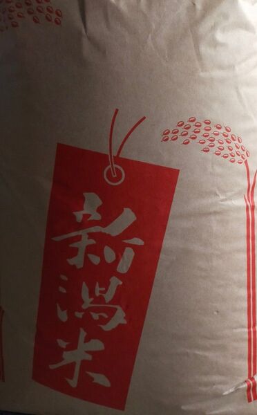 新潟米 もち米 玄米 30kg 令和5年度産