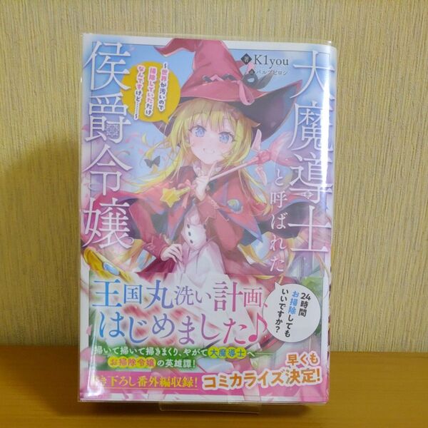 大魔導士と呼ばれた侯爵令嬢 世界が汚いので掃除していただけなんですけど……