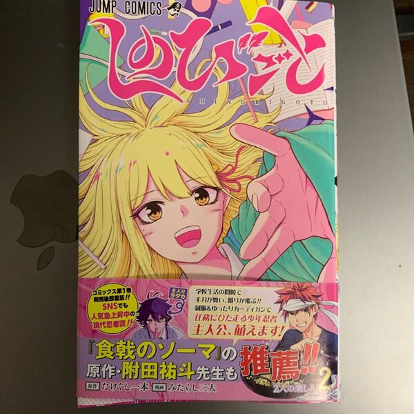 しのびごと 2巻