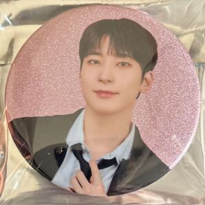 SEVENTEEN セブチ holiday ペンミ グッズ 缶バッジ 缶バッチ ウォヌ