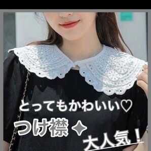 付け襟 刺繍 つけ襟 ホワイト 白 レース フォーマル ドレス ワンピース シャツ コーディネート おしゃれ かわいい 韓国 北欧