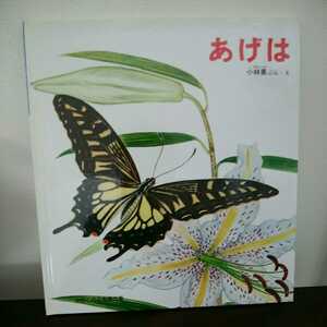 即決/未使用◆「あげは (かがくのとも絵本) 」小林 勇 福音館書店◆絶版