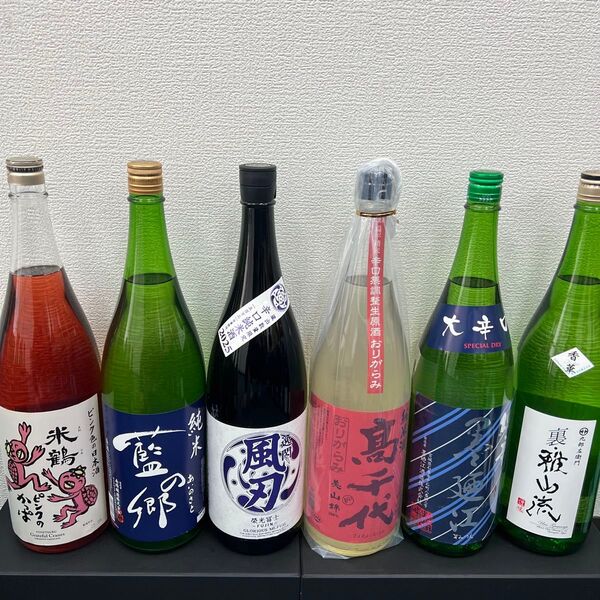 初夏セール E10 辛口 一升瓶6本 各蔵の最新詰め又は飲み頃のお酒