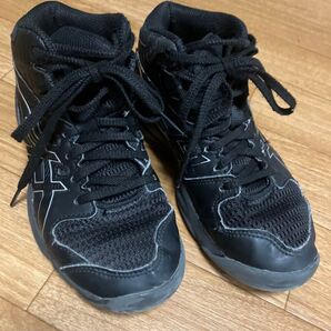 アシックス asics バスケットシューズ ジュニア バッシュ20.0cm