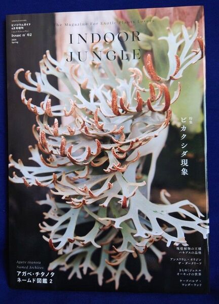 INDOOR JUNGLE インドアジャングル ビバリウムガイド4月号増刊 vol.2 特集ビカクシダ現象 2024