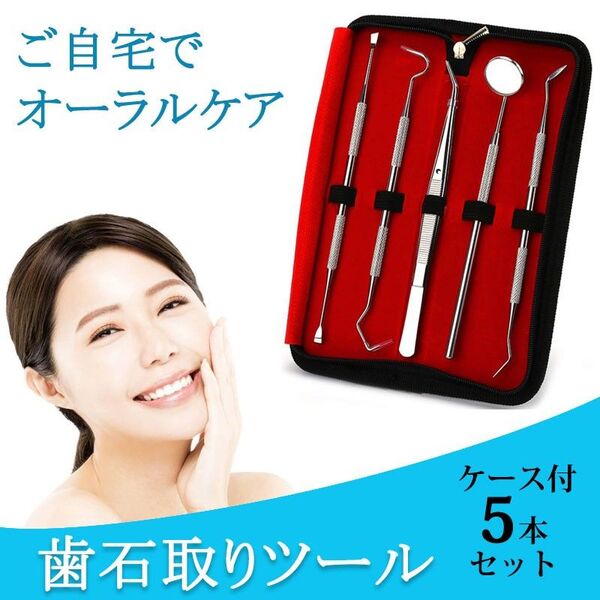 歯石取り 5本セット ケース付き スケーラー 歯垢 食べかす 除去 用具 デンタル オーラル ケア 口腔 衛生 ツール 自宅 歯